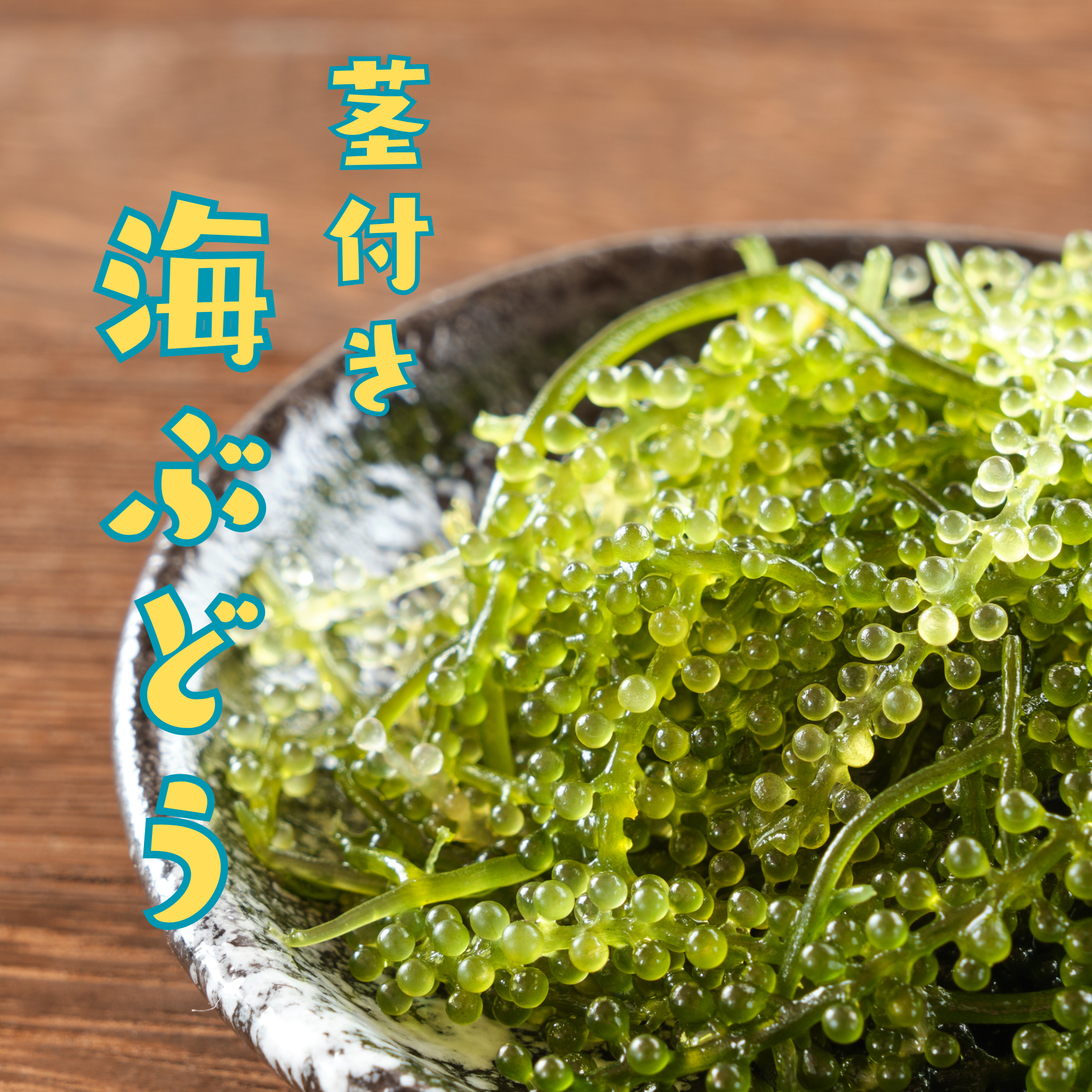 沖縄直送】生 海ぶどう 茎付き｜新鮮ぷちぷち食感・サラダや海鮮丼に