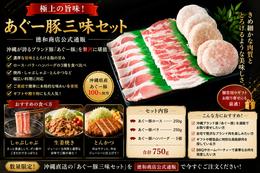 あぐー豚三味セット｜沖縄ブランド豚のロース・バラ・ハンバーグ食べ比べ！ギフト・お取り寄せに最適【徳和商店公式通販】