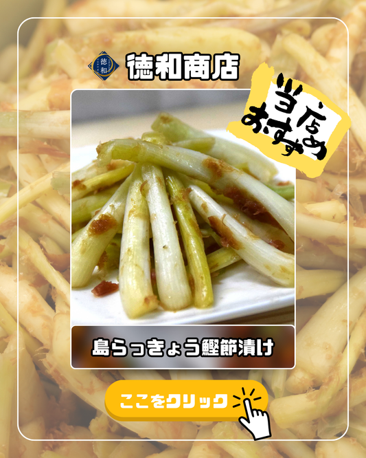 沖縄県産 島らっきょう鰹節醤油漬け 旨みたっぷり和風仕立て｜【徳和商店公式通販】