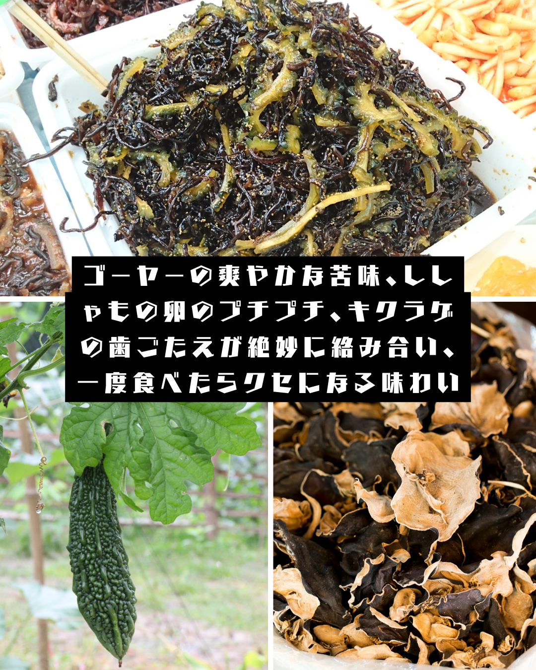 ゴーヤーししゃもキクラゲ｜沖縄ゴーヤー×ししゃも×きくらげ｜ヘルシー常備菜・おつまみ・ご飯のお供【徳和商店公式通販】