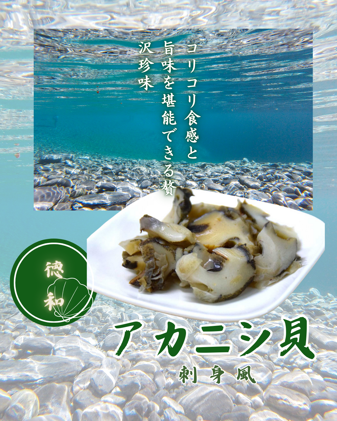 アカニシ貝 刺身風｜コリコリ食感の高級珍味！お酒のおつまみ・ご飯のお供に最適【徳和商店公式通販】