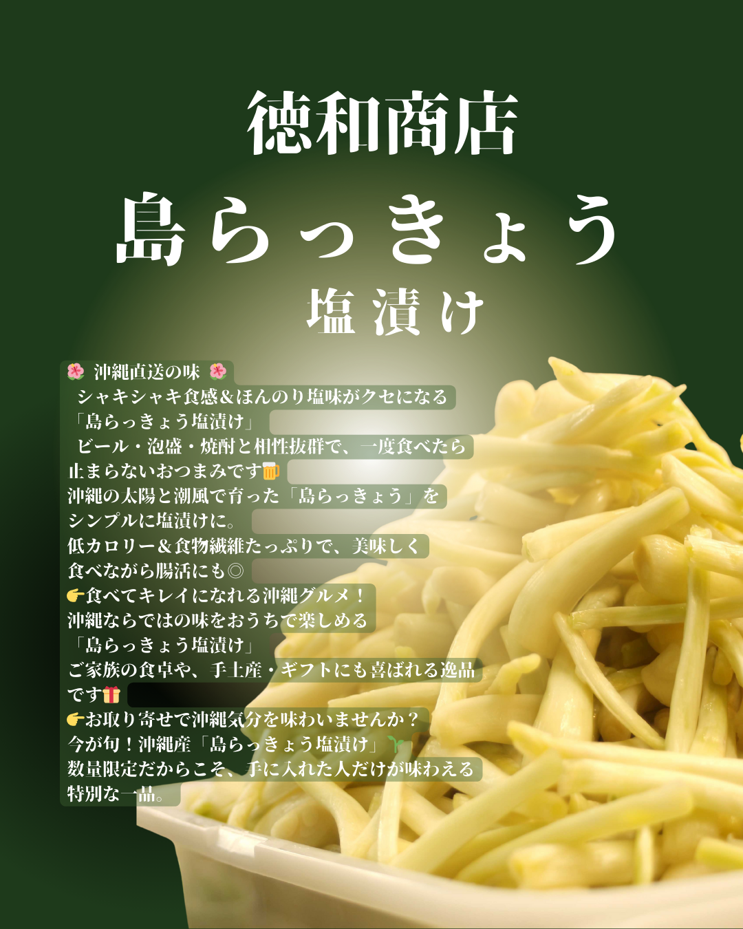 沖縄県産 島らっきょう塩漬け ピリ辛シャキシャキ食感｜【徳和商店公式通販】